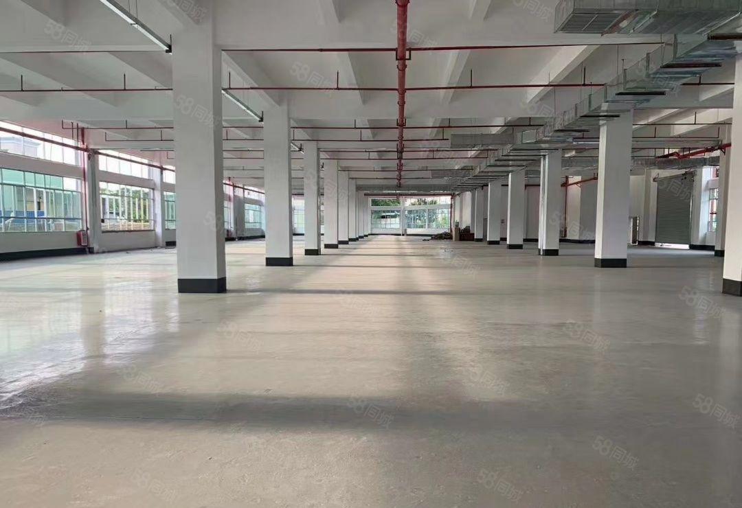 大亚湾全新20000平米红本重工业厂房出租，大小分租