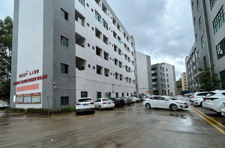 10元10元！大亚湾精装修厂房1200平米低价出租