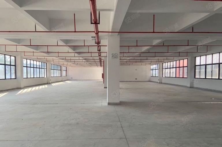 惠阳大亚湾500平原房东标准低价厂房出租，现成精装修有红本