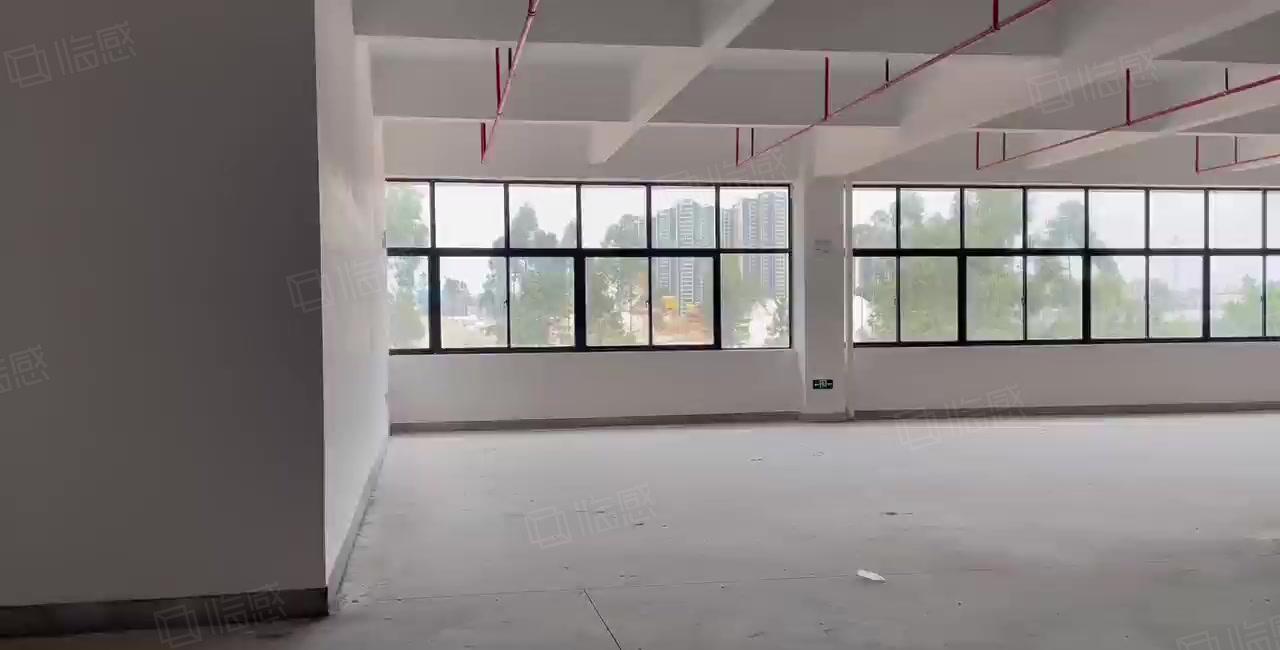 10万平大亚湾全新红本厂房出租仓库出租15元2000平起