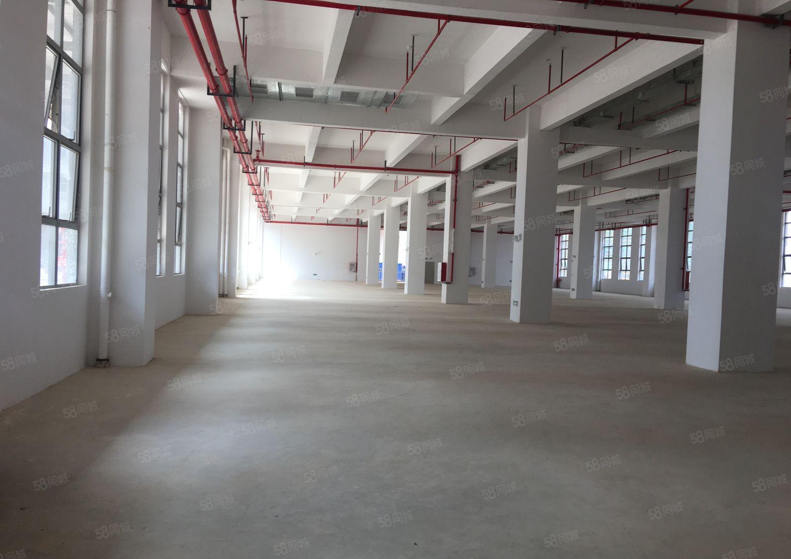 惠州市大亚湾全新红本产业园厂房出租，共12万平米，可分租