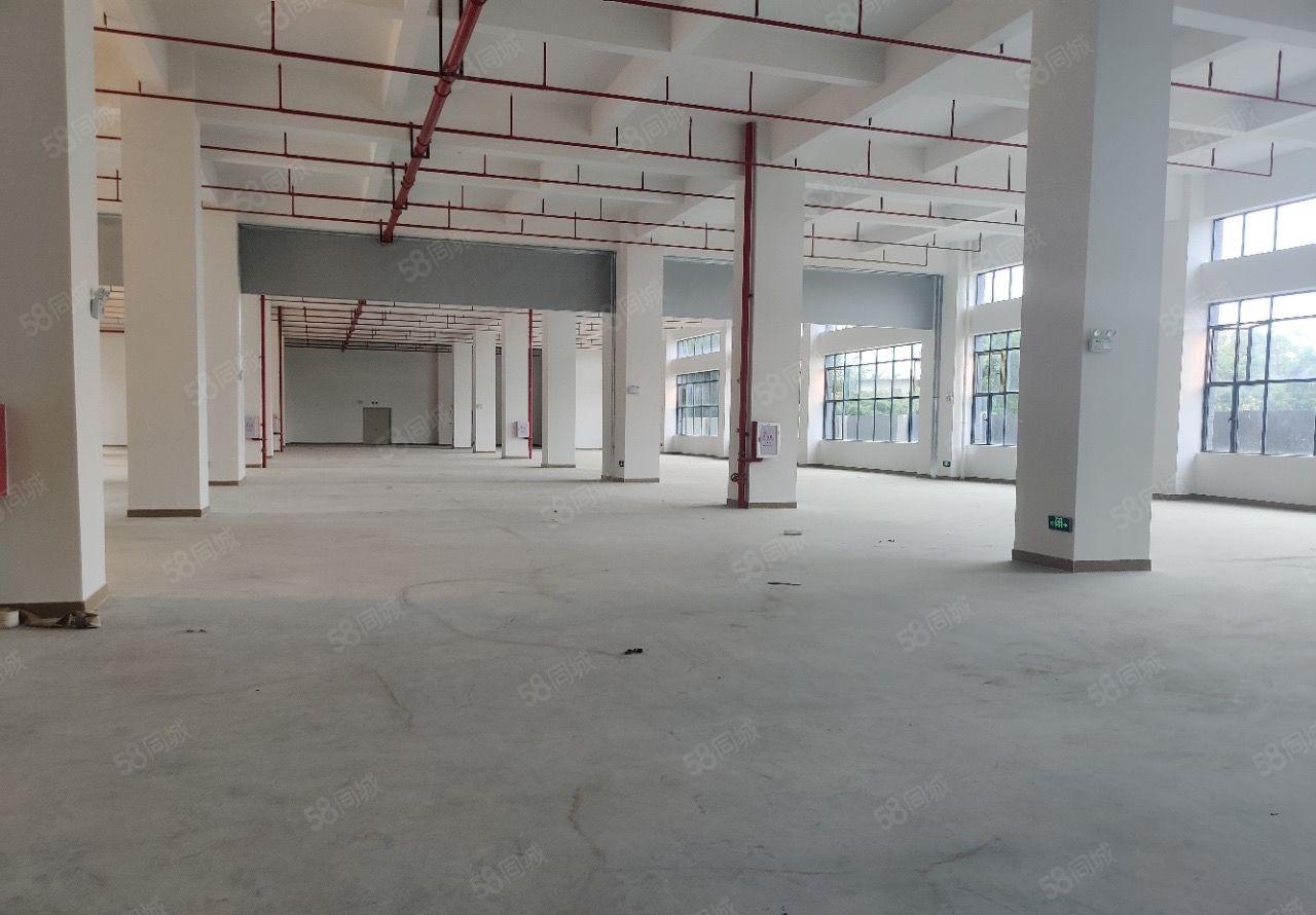 500平起分超大空地免费用大亚湾红本标准厂房30000平