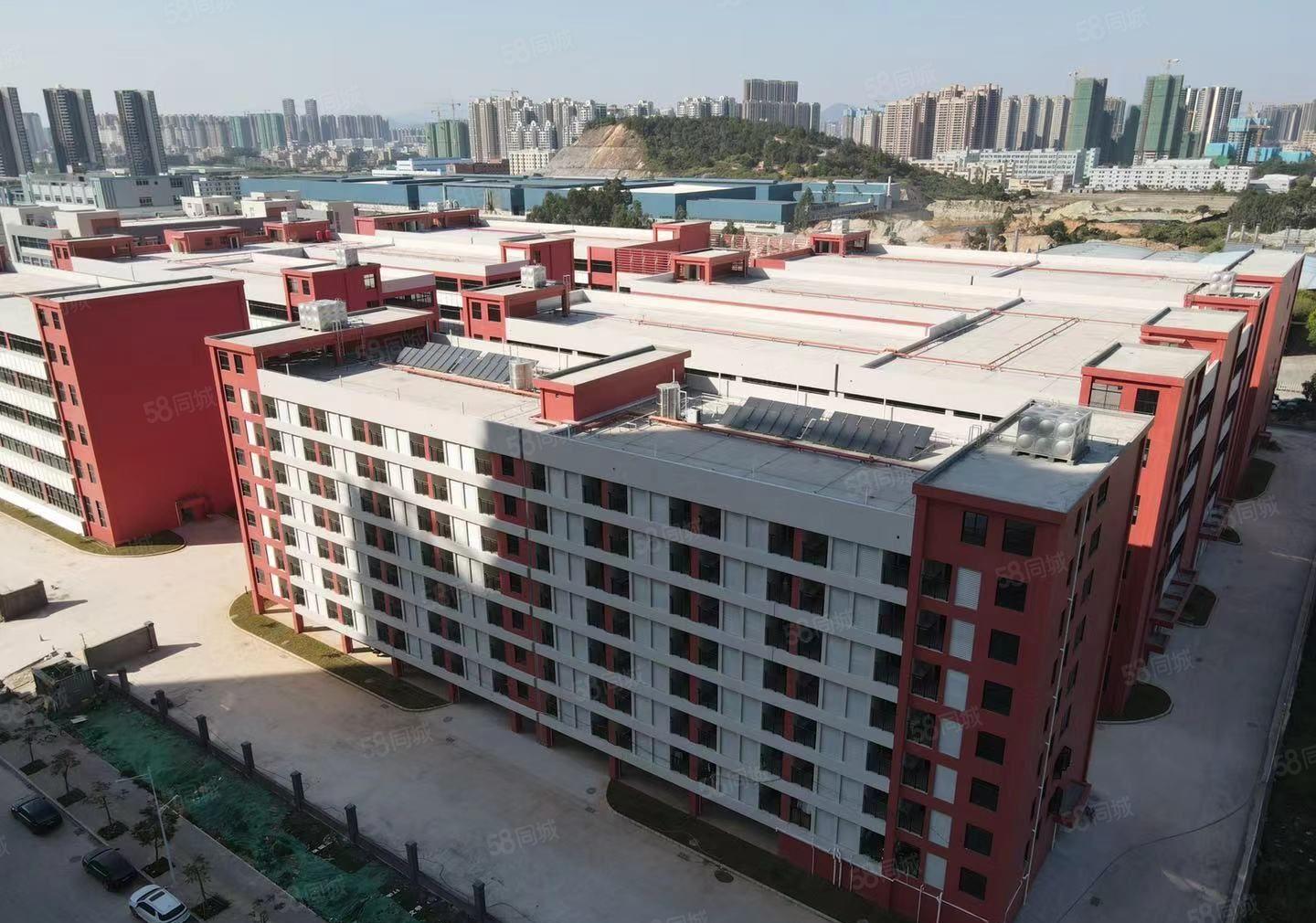 全新厂房，已交楼，租金便宜，免租期长