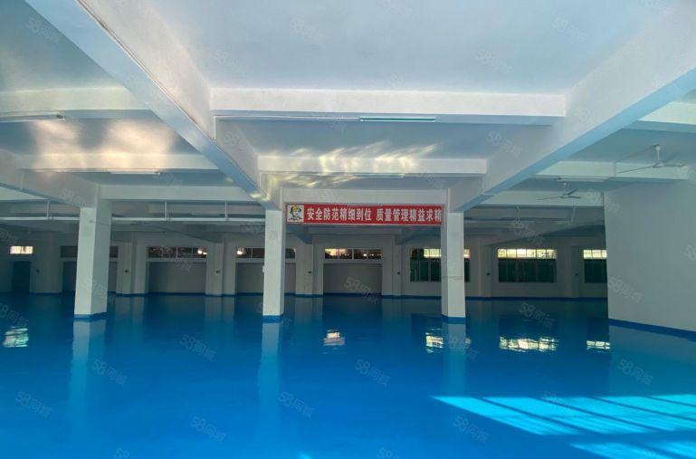 大亚湾西区原房东一楼二楼2000平精装修办公仓库厂房低价出租