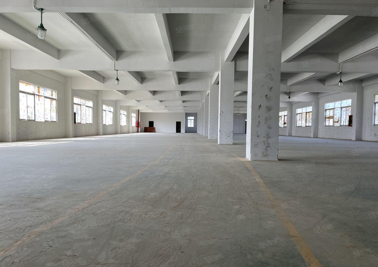 （含税）大亚湾西区原房东标准3层独院实际面积3670平出租