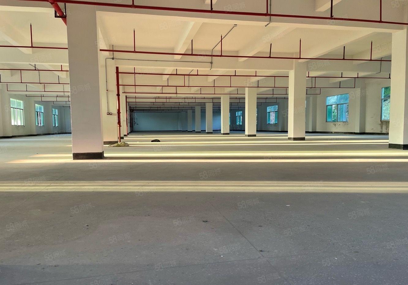 大亚湾塘布1万平独院厂房出租 层高6米 空地4千平 行业不限