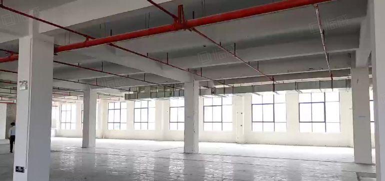 惠州大亚湾比亚迪旁全新厂房特价11元平招租