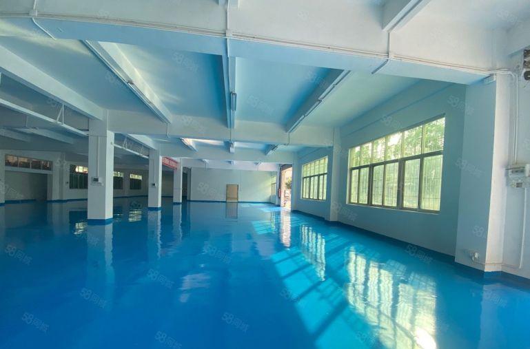 大亚湾西区原房东一楼二楼2000平精装修办公仓库厂房低价出租