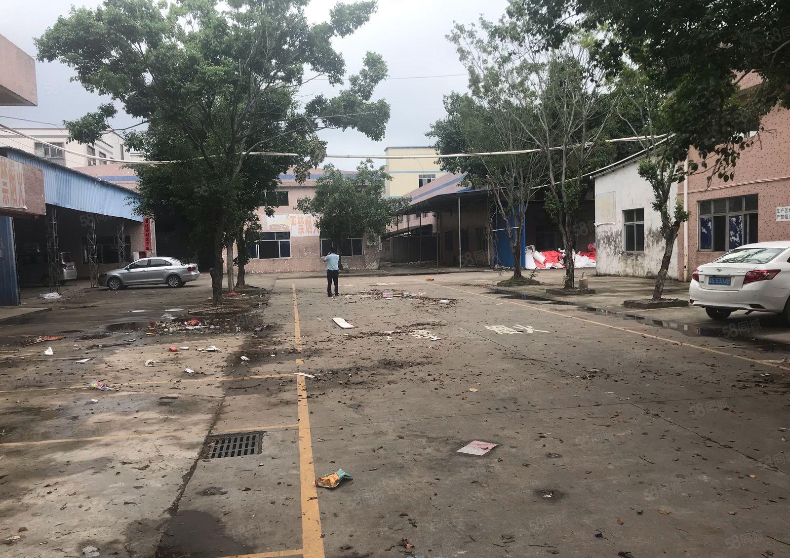 大亚湾工业区原房东钢构800平1200平出租