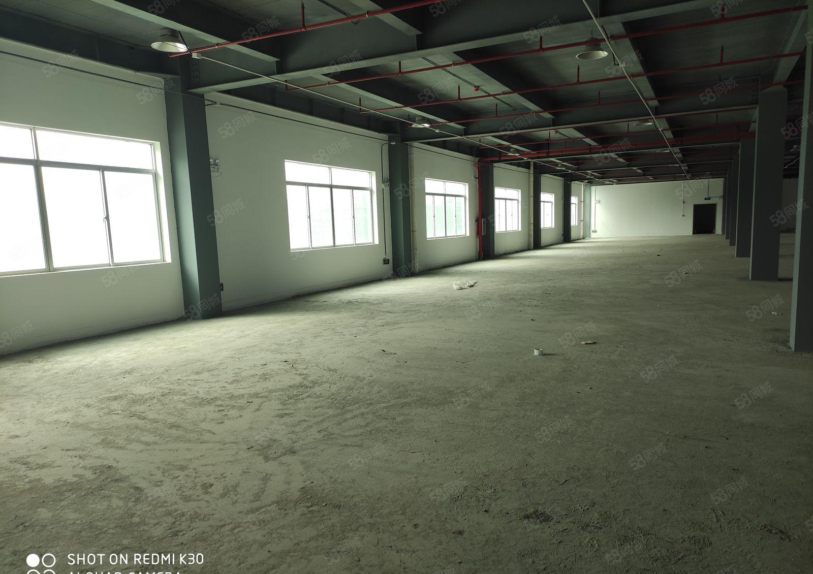 园区环境优美，证件齐全，方便大车进出，租金美丽