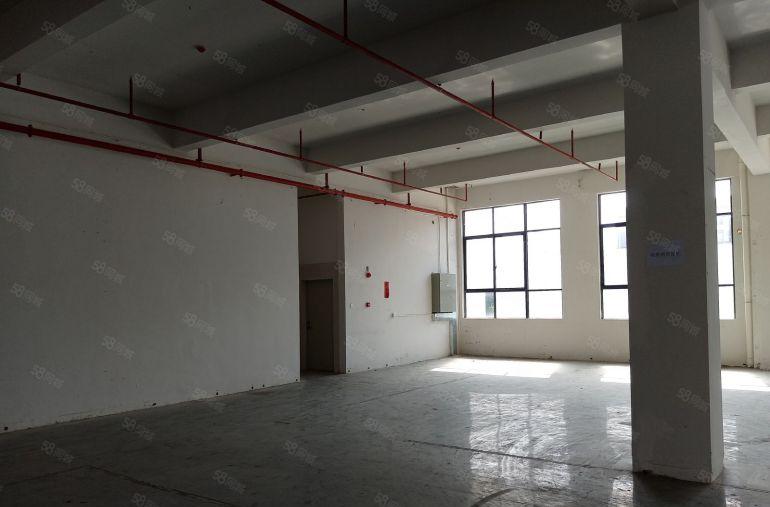 惠州大亚湾比亚迪旁全新厂房特价11元平招租