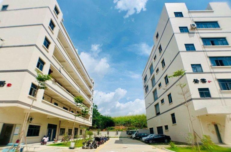 整层3000平可分租！已空置，带精装修，无转让费，原房东厂房