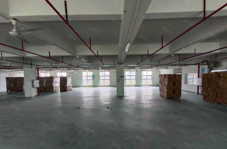临深700平 原房东厂房 带装修 大园区 无行业限制