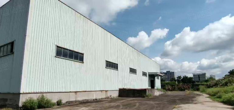 龙岗10米单一层厂房出租