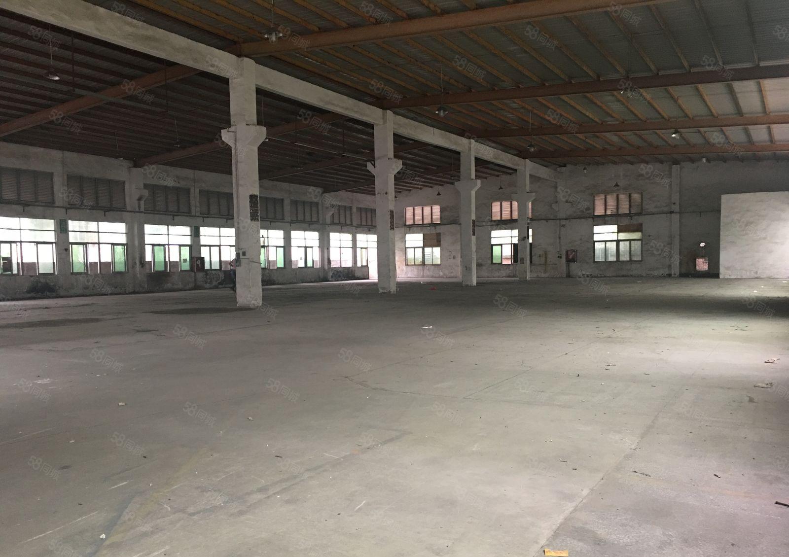 大亚湾彩田工业园独栋2827平钢构仓库厂房出租可分租可办环评