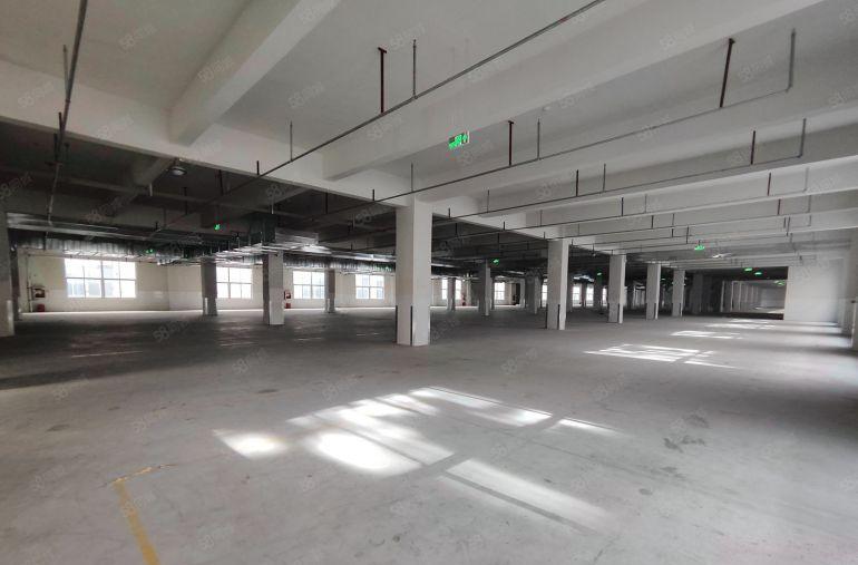 大亚湾临深10元起全新高标准厂房