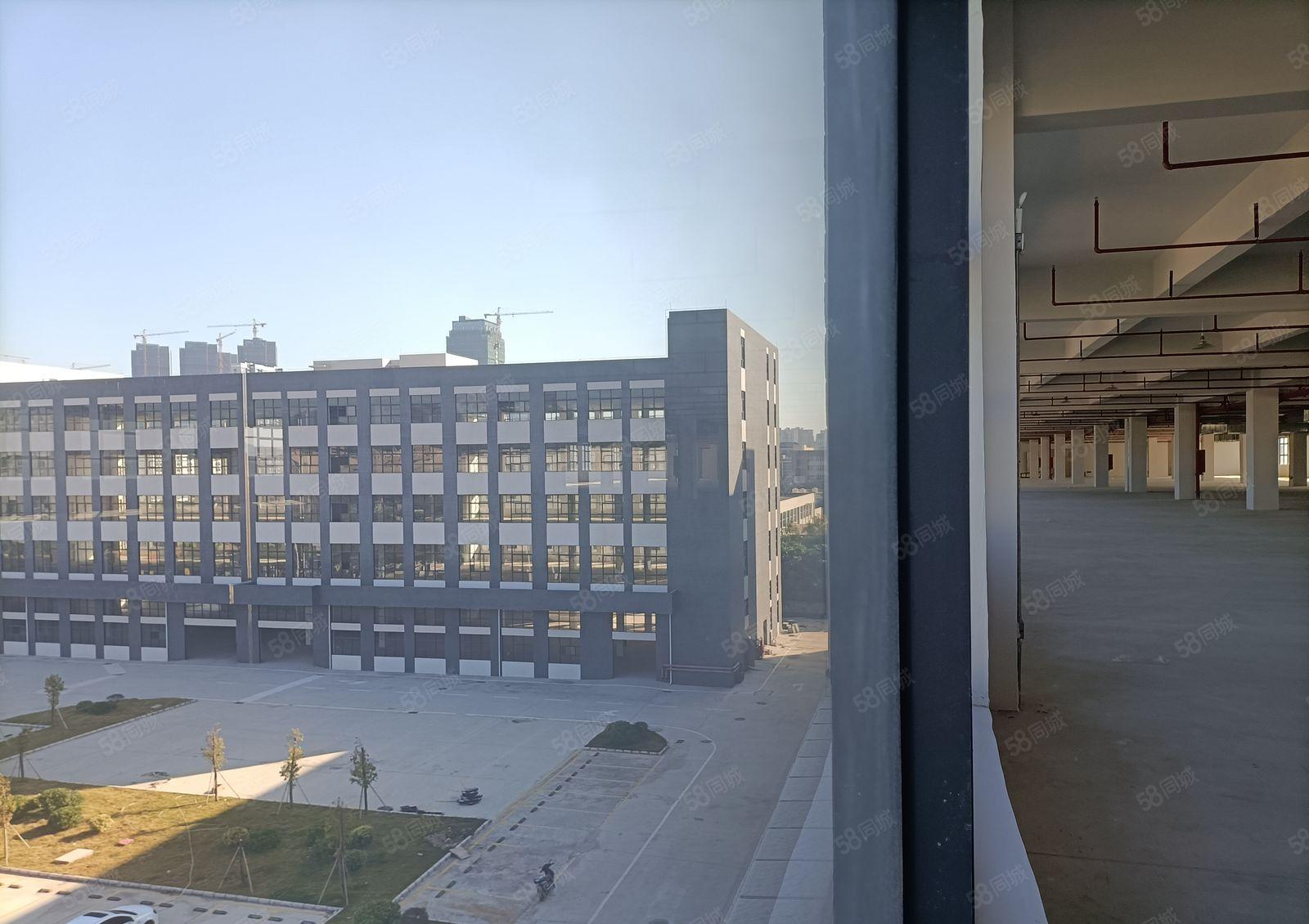 10元厂房大亚湾全新厂房3吨双开货梯1000平方可分割