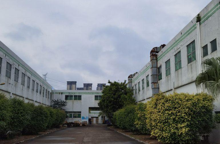 急急急，大亚湾，一手业主出租9.9