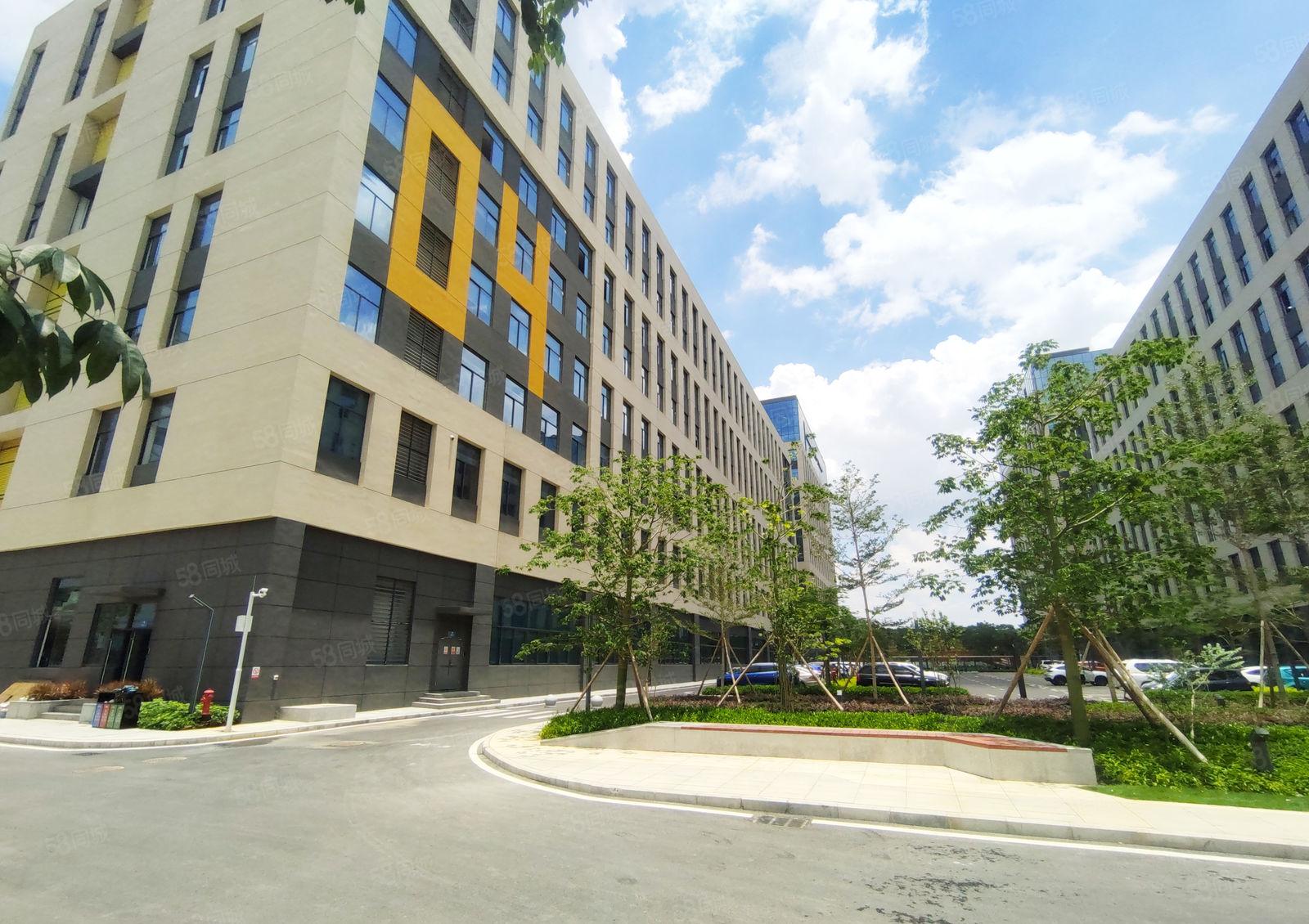 惠州大亚湾园区厂房仓库单层面积1600平可分租底价格12元