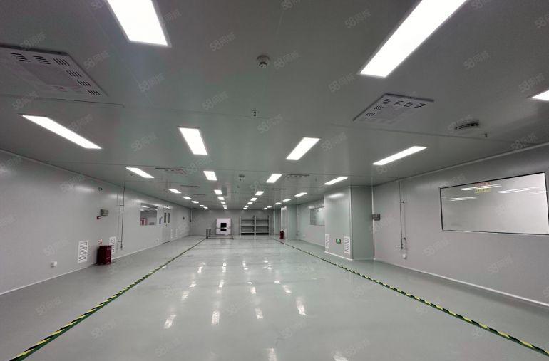 10元现成办公室地坪漆1000平！西区原房东全新标准厂房出租