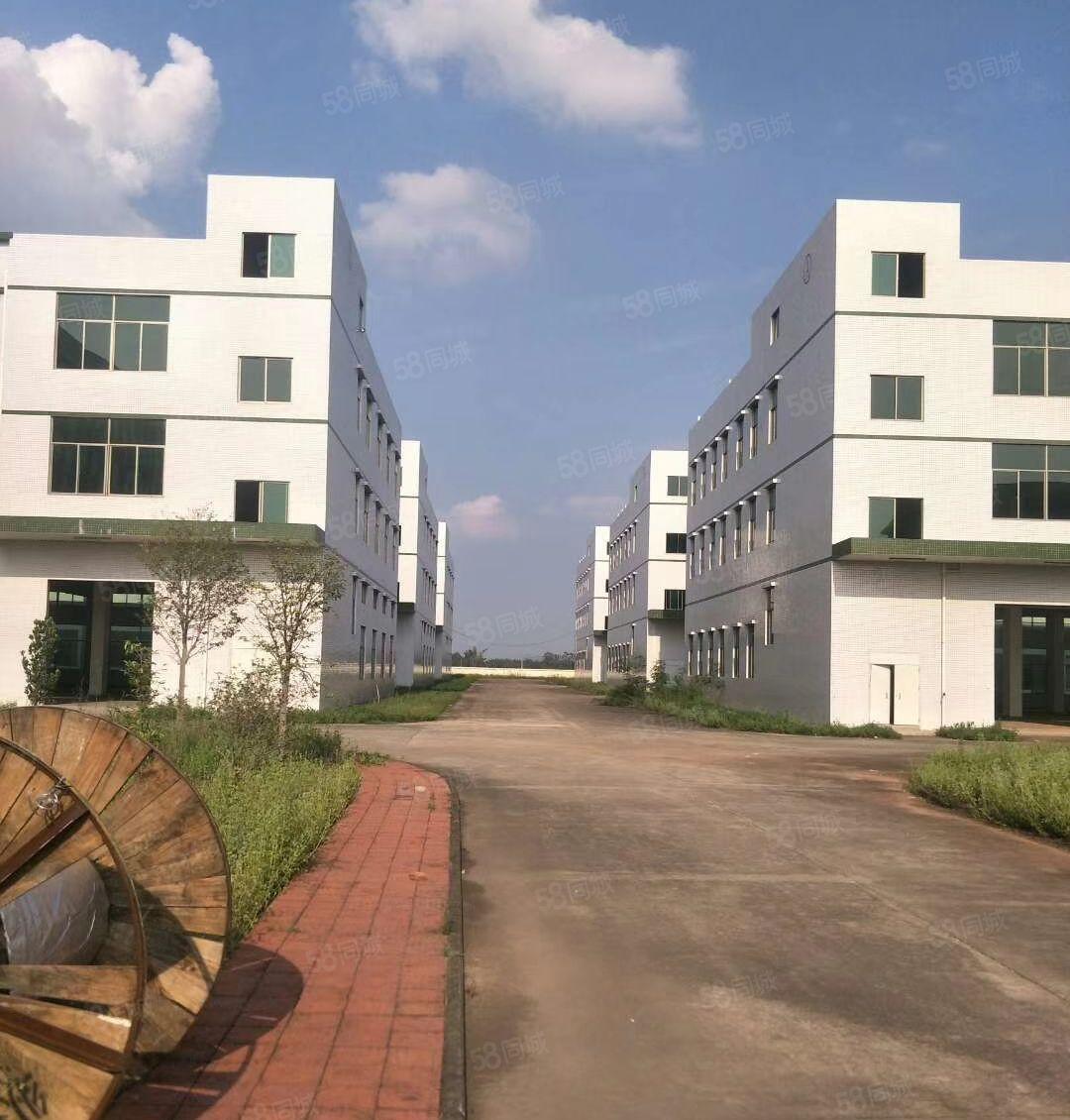 4万平米工业园火热招租（可整租分租）