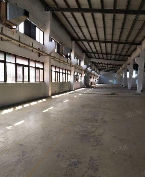 大亚湾西区8米高钢构厂房20000平米出租