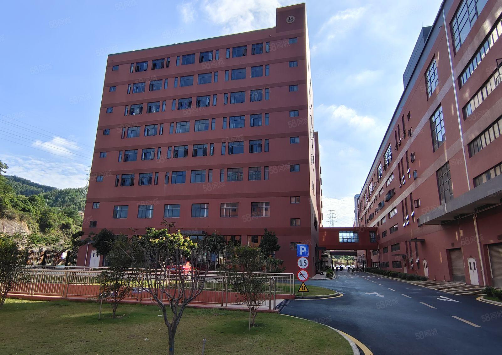 5百1千3千平起租龙溪6万平原房东厂房仓库出租可办环评带红本