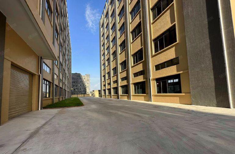 低价出租龙溪原房东全新红本多层厂房