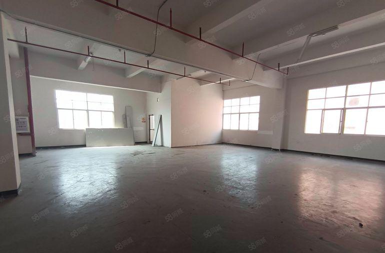 园洲镇标准楼房五百平至3000平低价厂房出租仓库出租