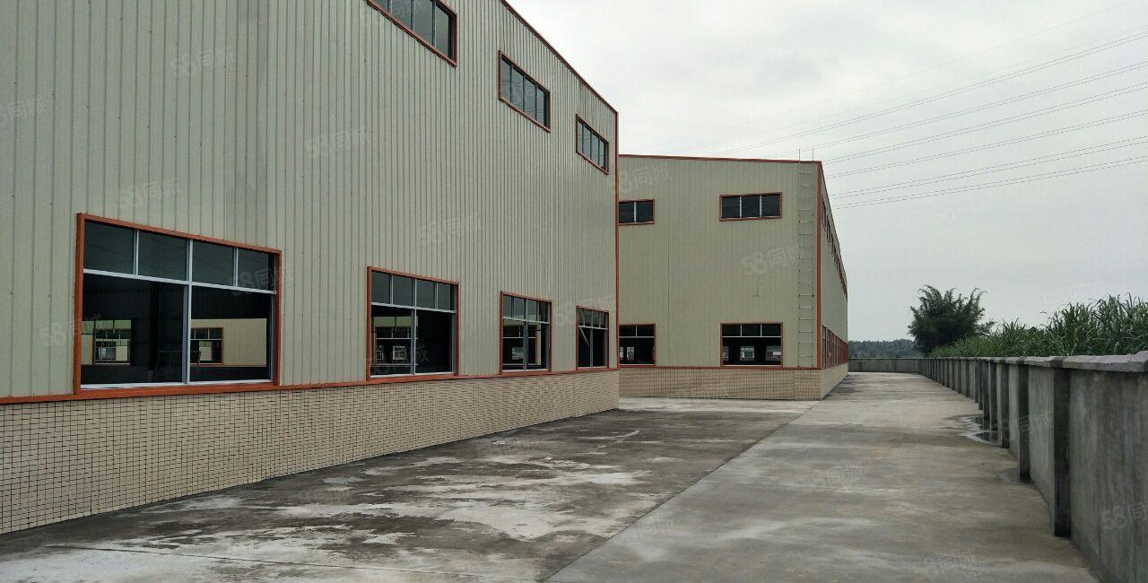 单一层全新钢构厂房出租！