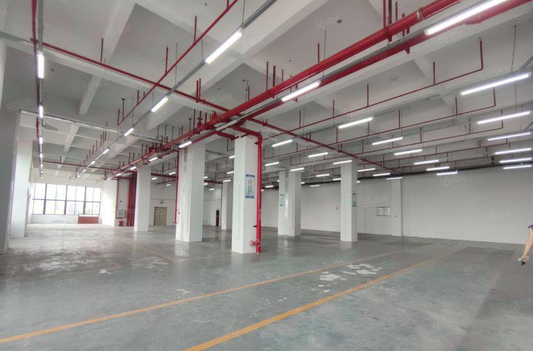 博罗园洲带装修厂房8元出租可分租水电齐全城区一桥东莞