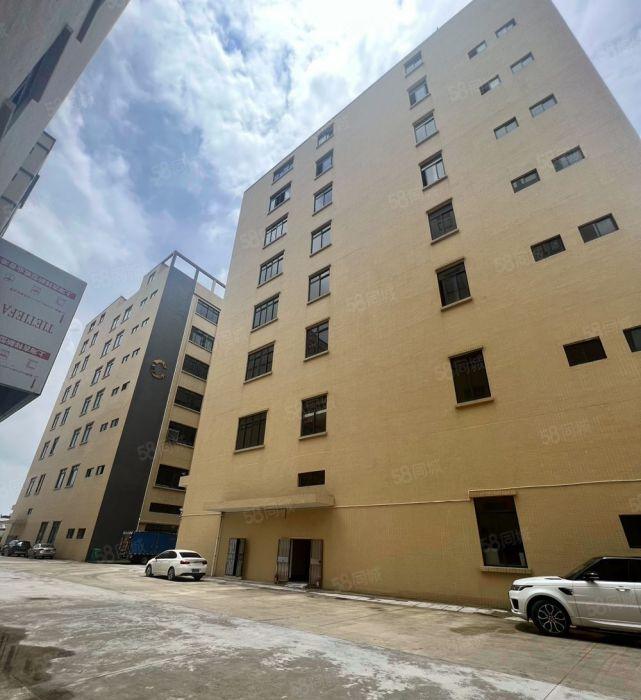 园洲实际面积8元全新原房东厂房招租好招工可分租