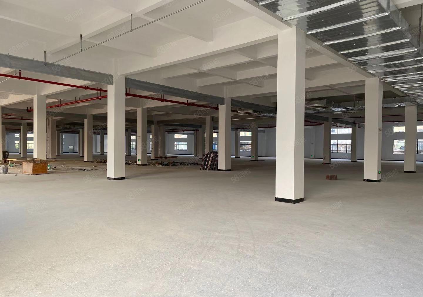 博罗园洲工业区一楼2百5百8百1千平独院红本仓库厂房出租分租