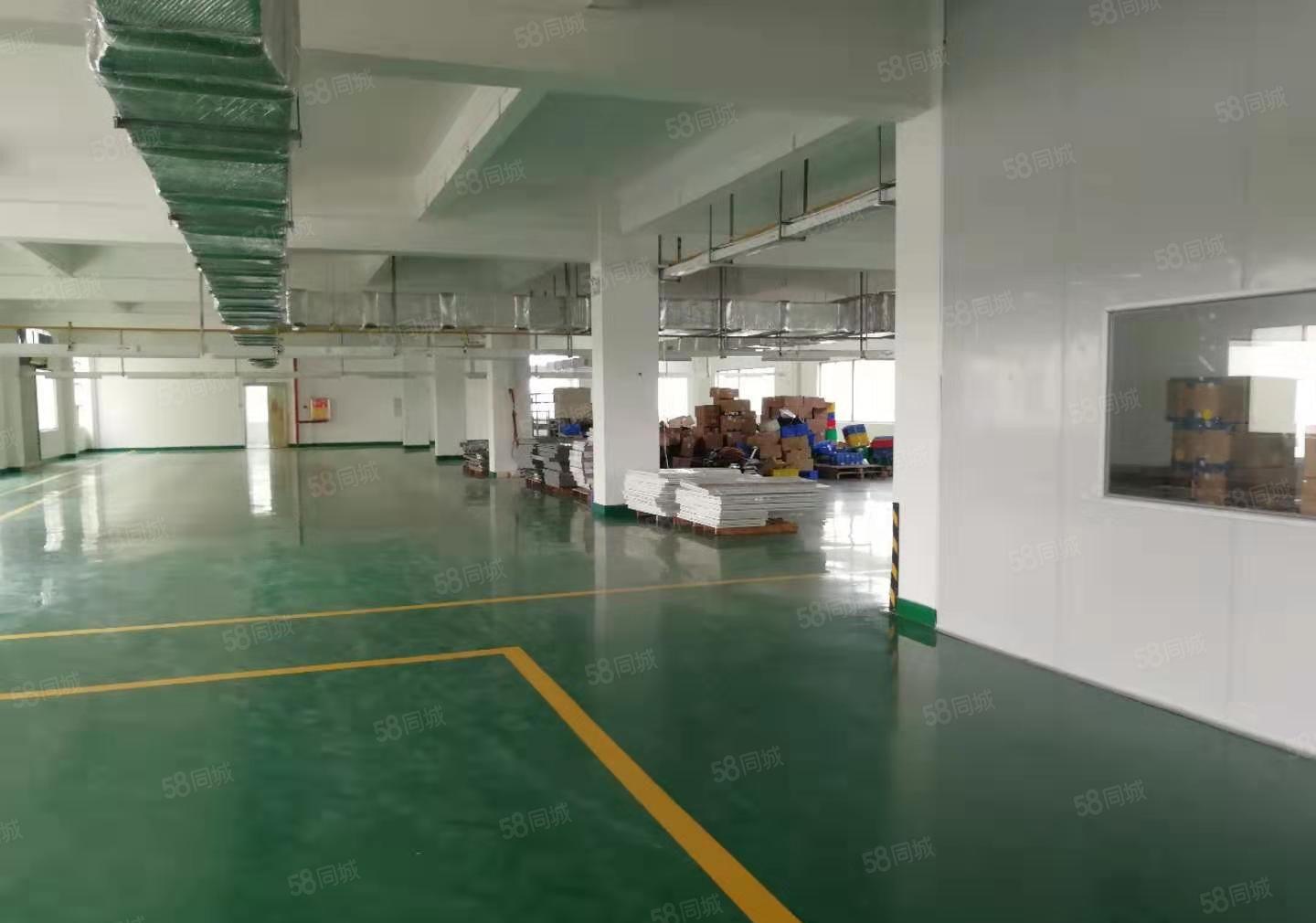 园洲镇上南工业区独栋2层标准3000厂房招租证件齐全空地大