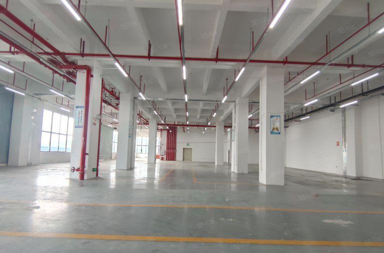 博罗园洲带装修厂房8元出租可分租水电齐全城区一桥东莞