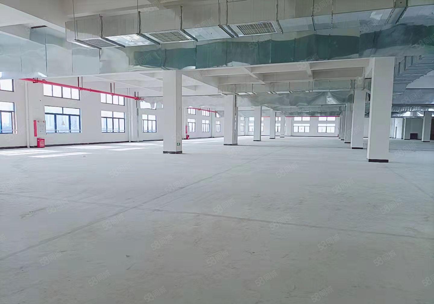 工业园分租厂房 红本证件齐全 可办环评  标准楼房 原房东