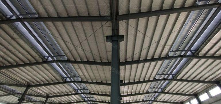 园洲财税补贴5元钢构滴水13米带牛角独院全新原房东现房出租。