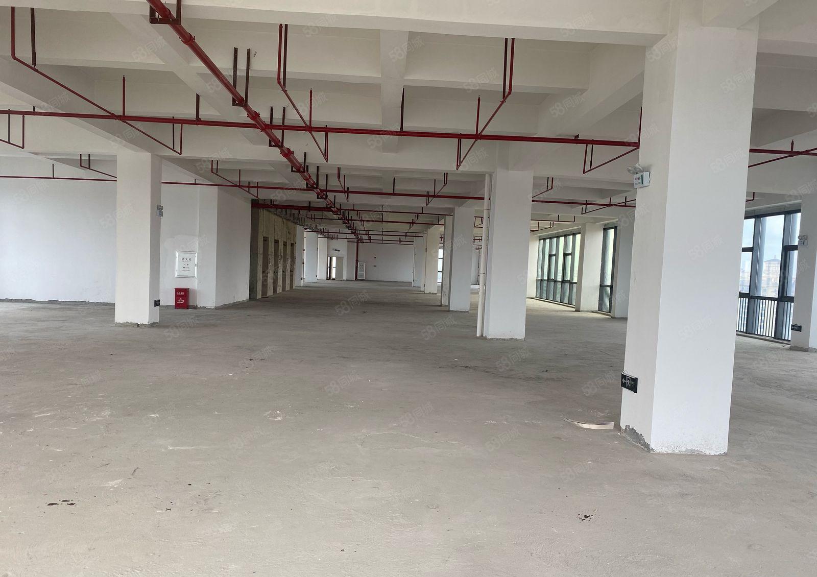 全新独院标准厂房出租 9200平米红本双证齐全