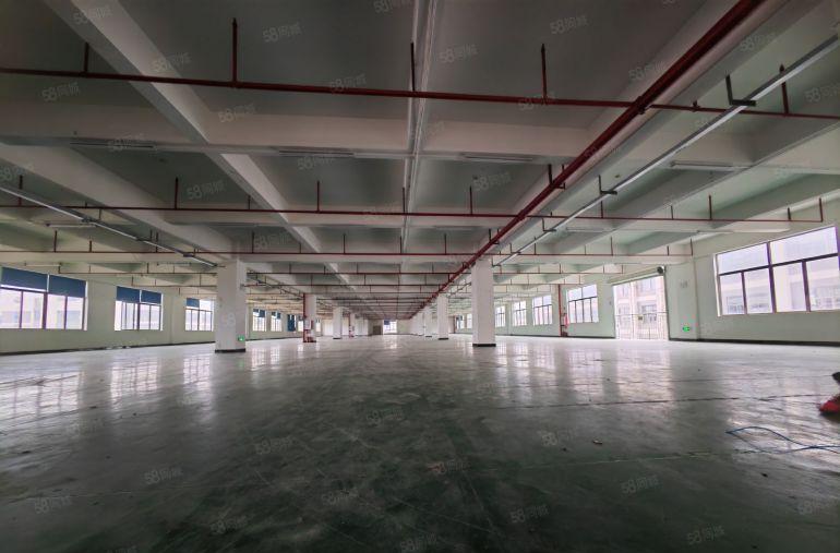 新出精装楼房红本地坪漆9.5成新厂房1.4万平可分 豪华办公