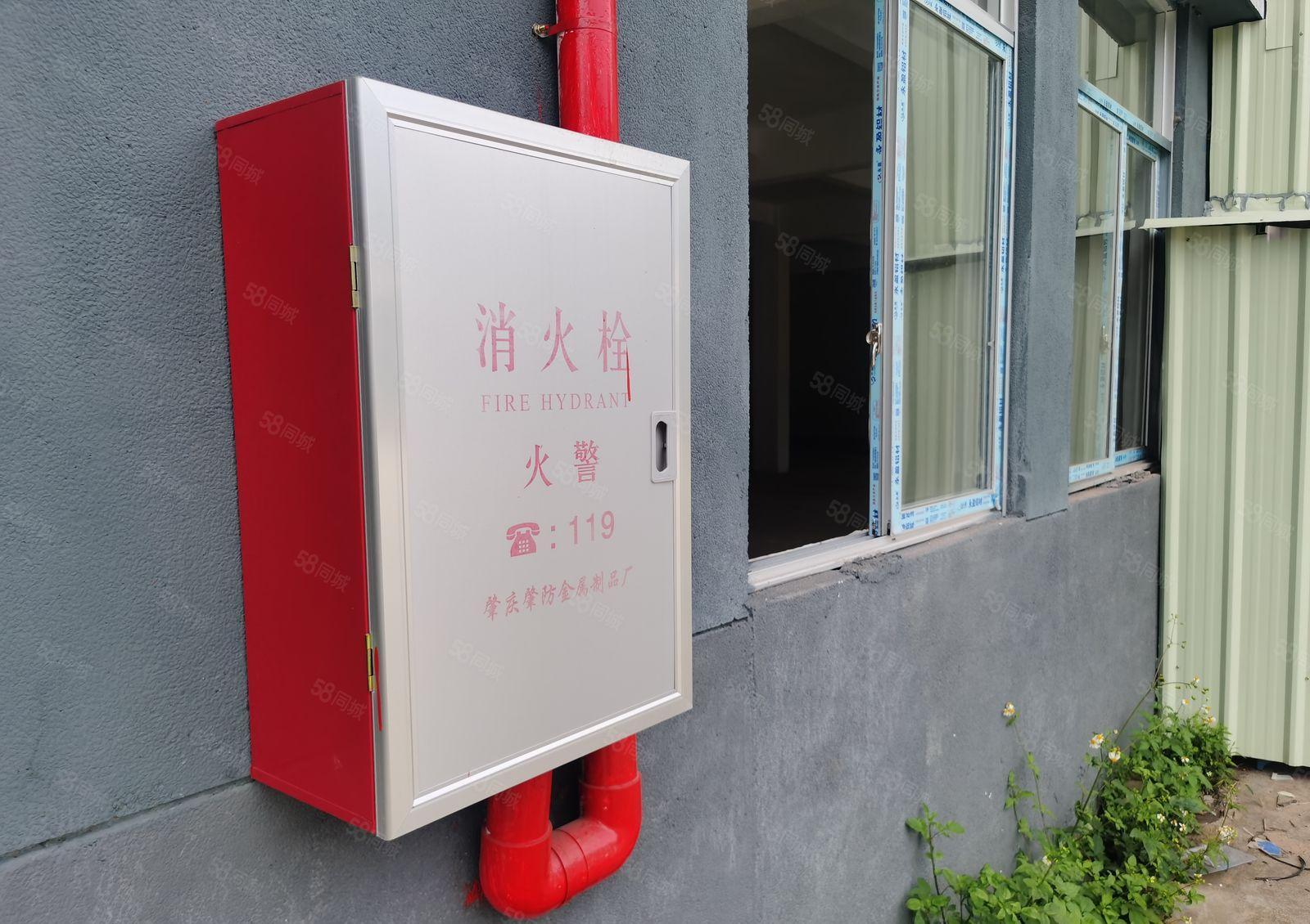 博罗福田3230方独院标准厂房出租 村委厂房可分租