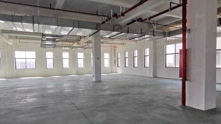 惠州金龙大道附近全新标准厂房12400平方低价出租