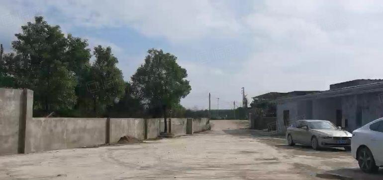 博罗园洲镇原房东全新钢构独院厂房仓库低价18元招商中