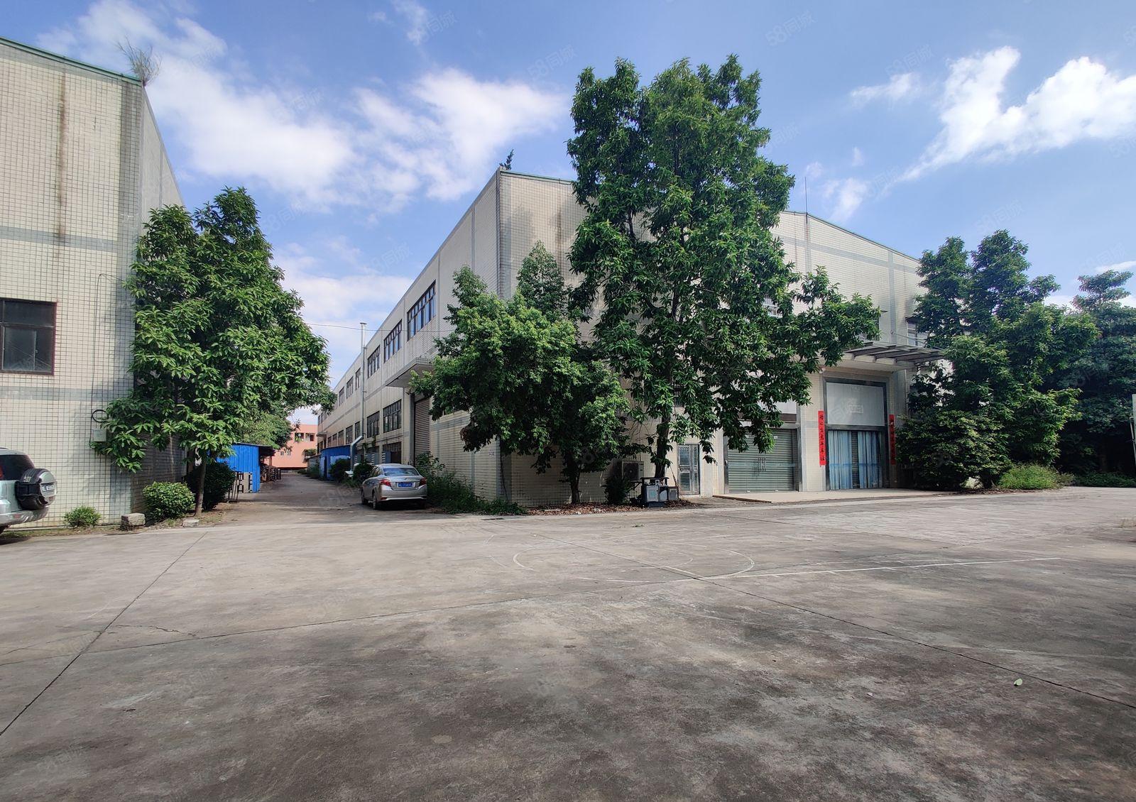 8元起原房东博罗石湾园洲2700平独院钢构带牛角一楼仓库出租