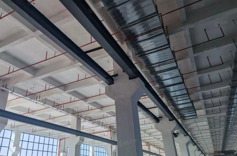 年关急租一楼9米120米带航轨承重2吨VOC喷油环评独院厂房