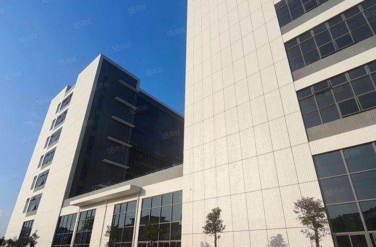 惠州博罗8元全新原房东厂房招租大小可分租好招工