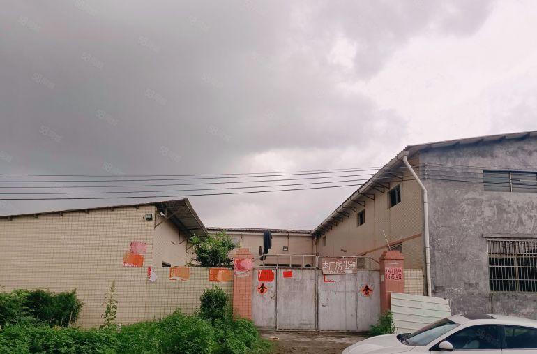 园洲原房东独院厂房出租1200平方，证件齐全可办环评交通方便