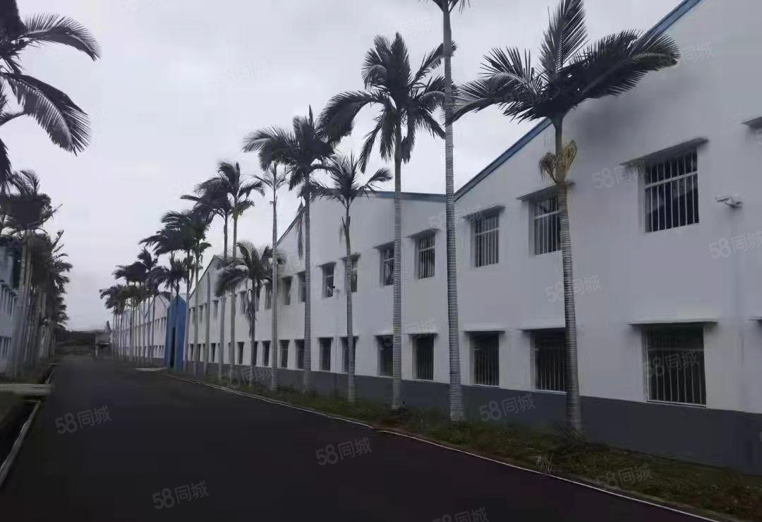 博罗湖镇重工业单一层厂房出租原房东园区占地面积11万平出租