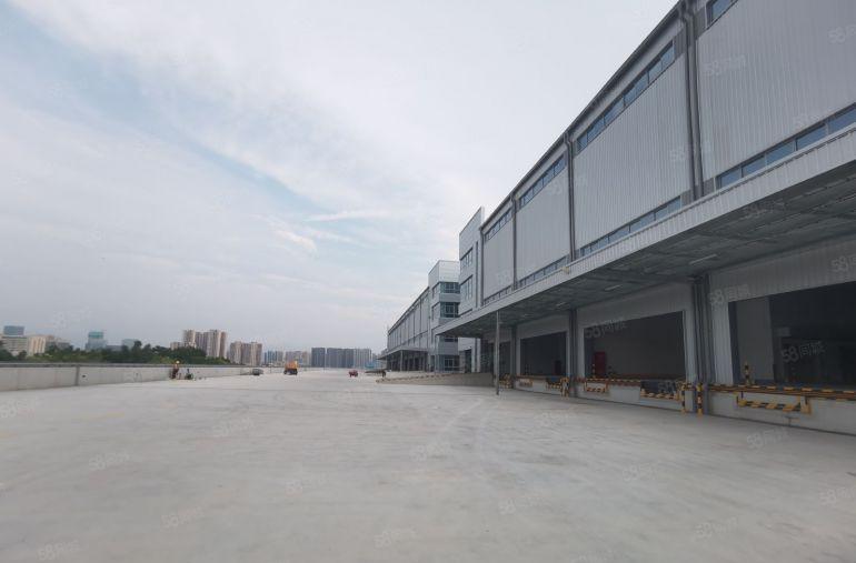 园洲镇新建厂房20000平带双边卸货平台12米高标物流仓出租