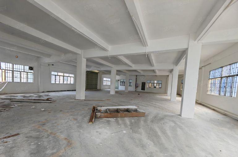 园洲本地好大姐家刚翻新厂房3300平 500可分 不贵