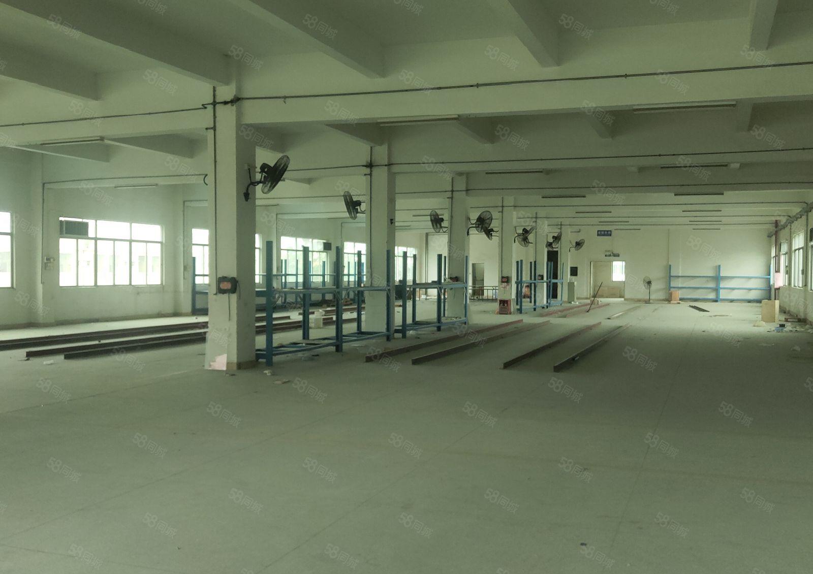 博罗标准厂房仓库独门独院出租带红本双证